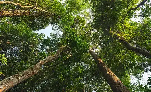 <img width="200" alt="Reasons sustainability 4" src="https://www.culligan.no/wp-content/themes/culligan-emea/img/four-reasons-module//reasons-sustainability-4.webp" /> Reasons sustainability 4